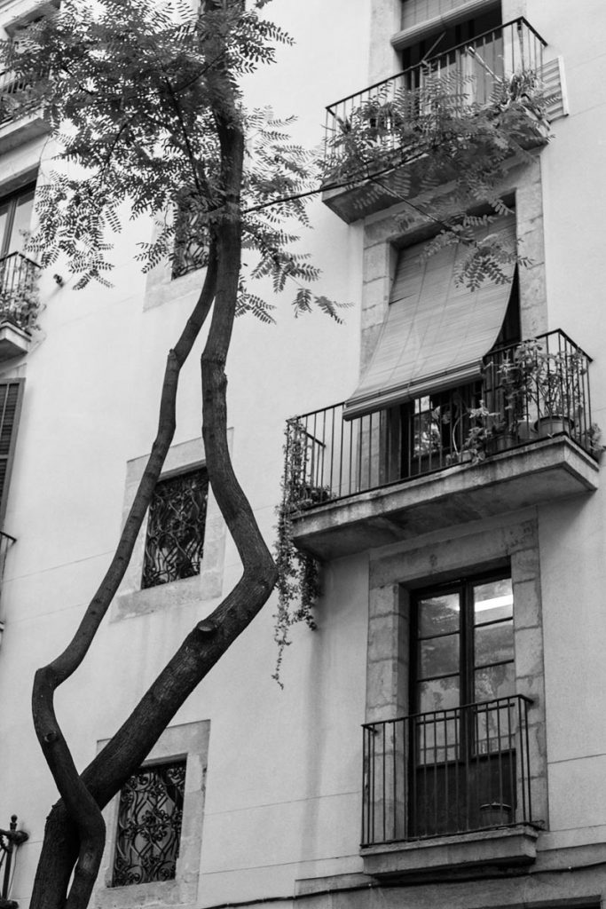 Barrí Gotic, Barcelona