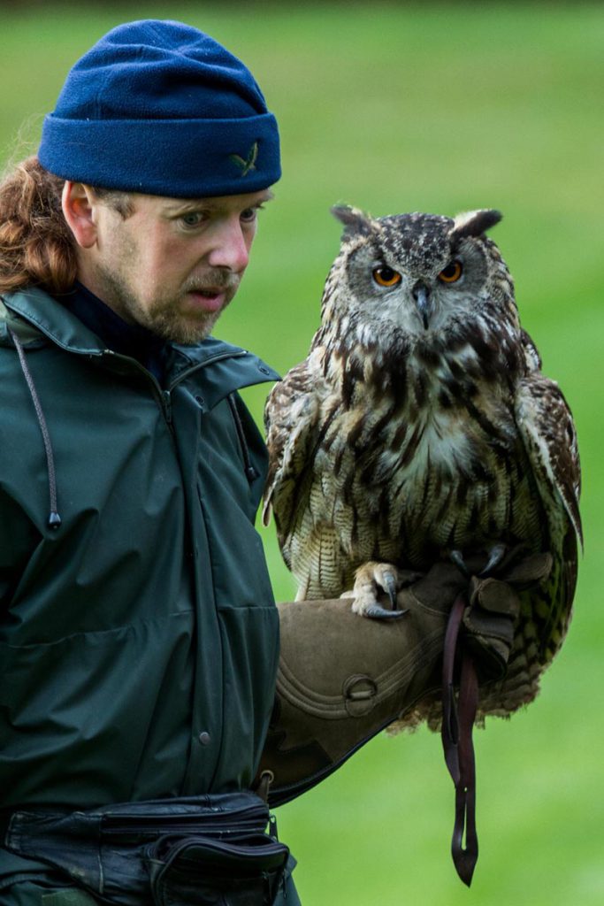 Owl World, Muncaster Castle